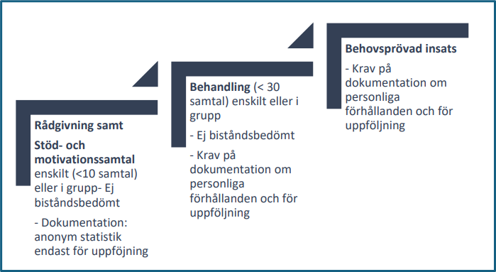 Trappmodell som visar hur insatstyper organiseras utifrån tillhörande dokumentationskrav.
